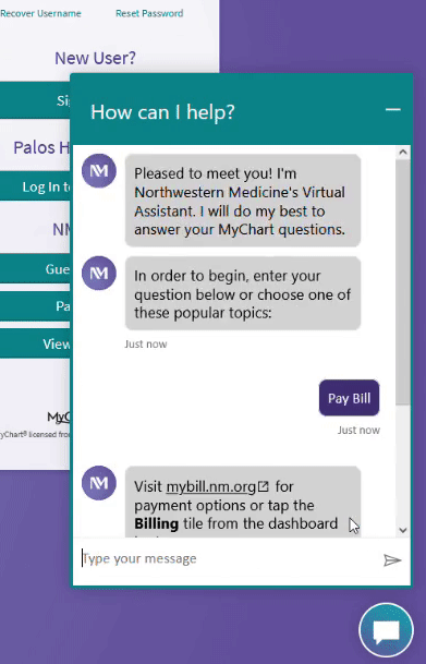 Chatbot Animation